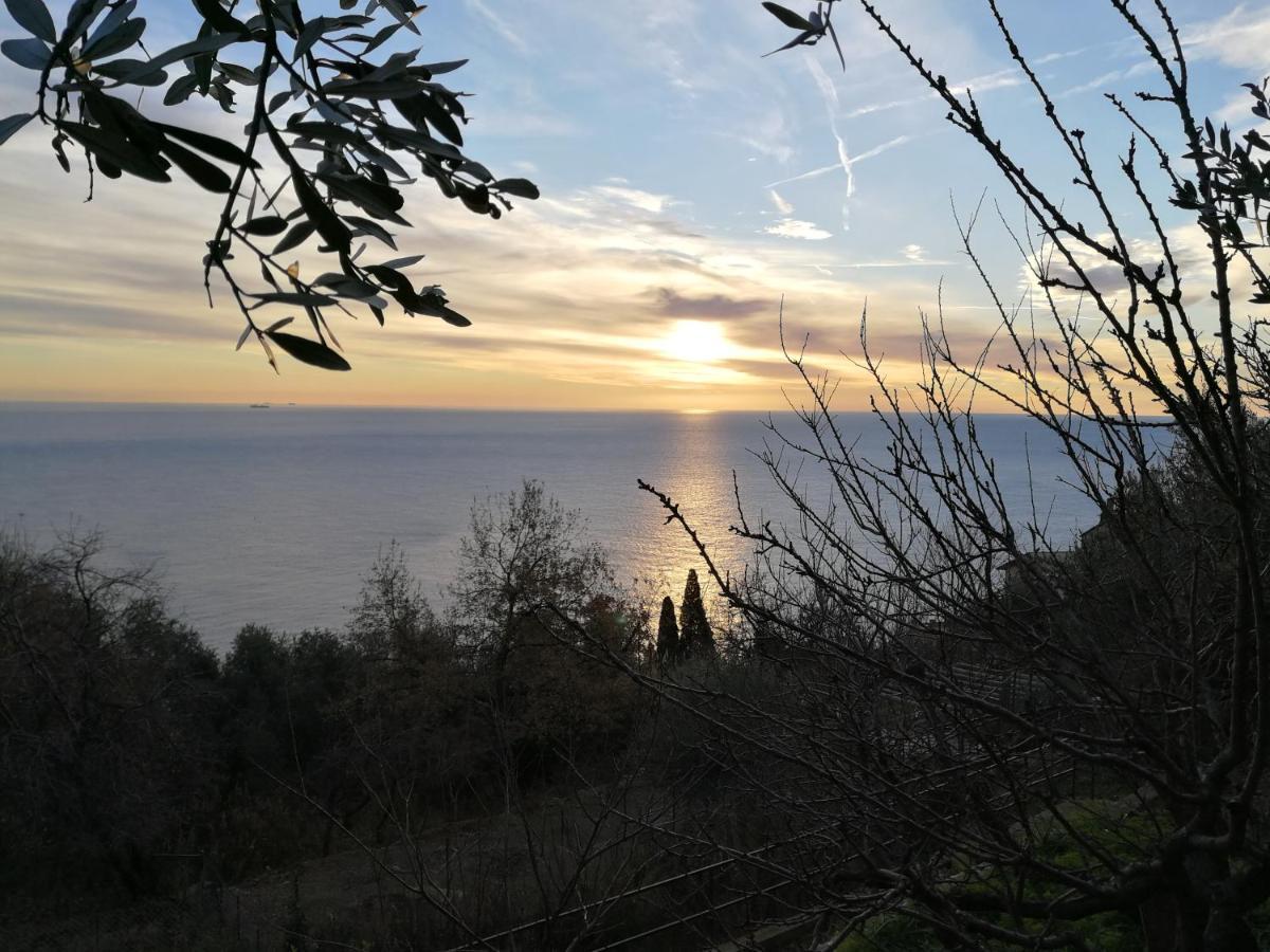 Villa Gio - Terrazza Nel Blu Bergeggi Buitenkant foto